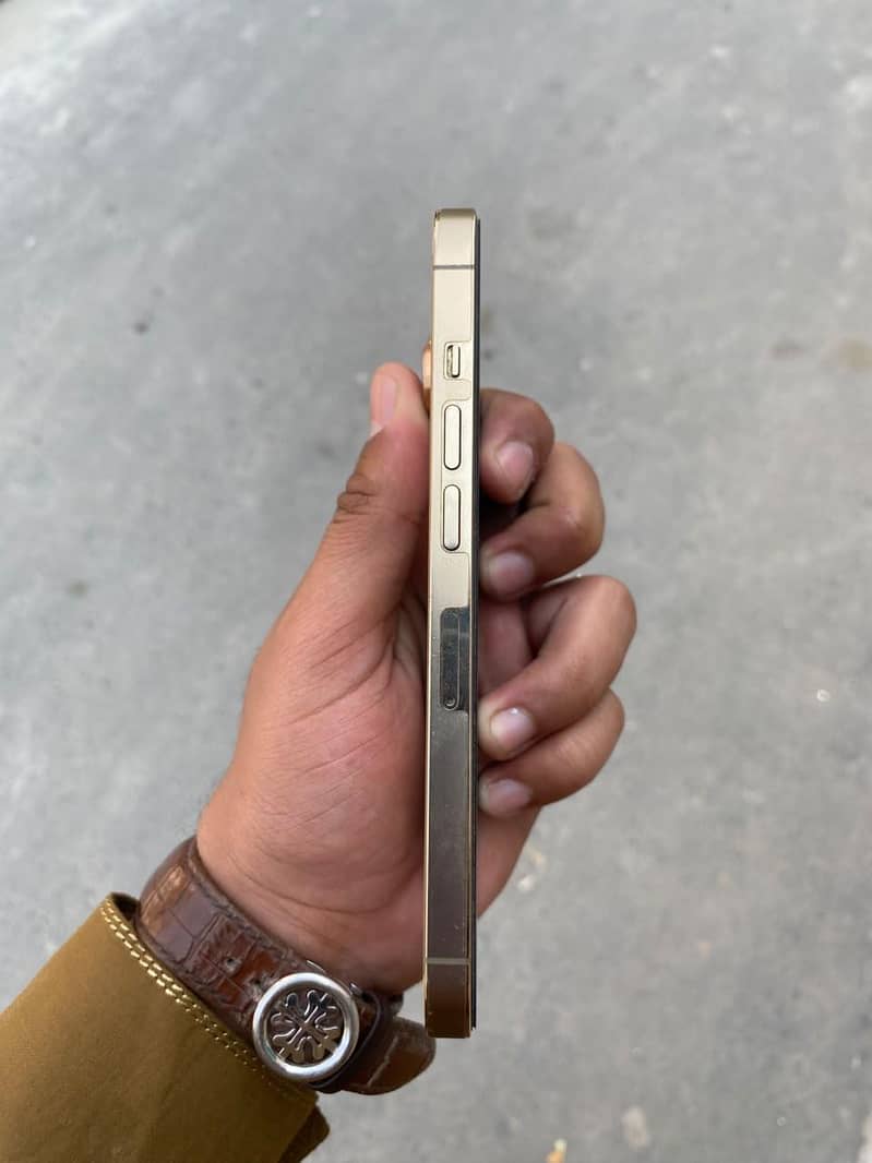 Apple iPhone 13 Pro 2