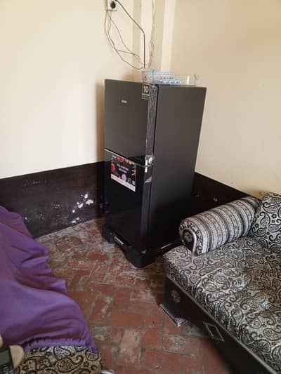 Hair refrigerator Medium size glass door