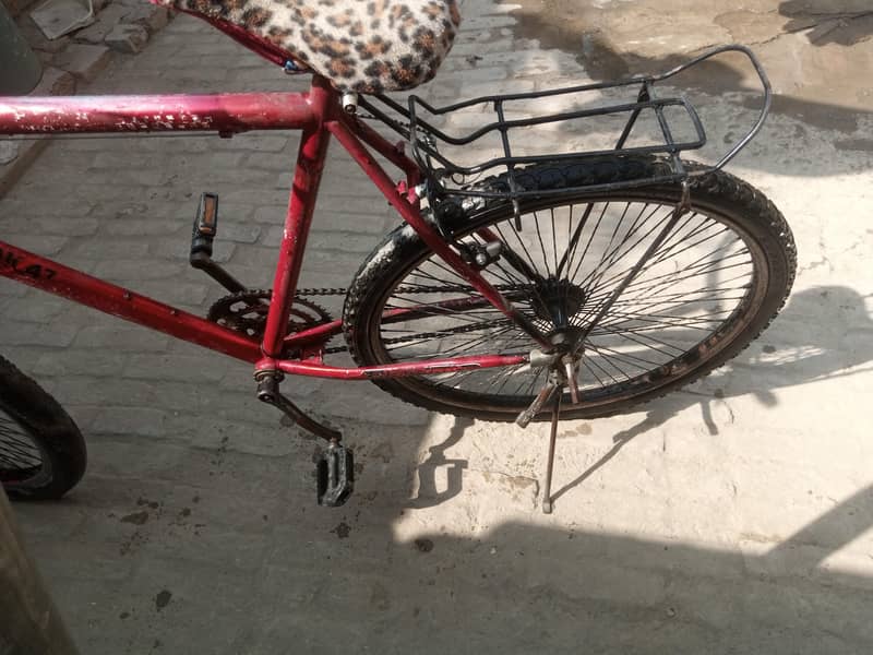 single frame cycle 0