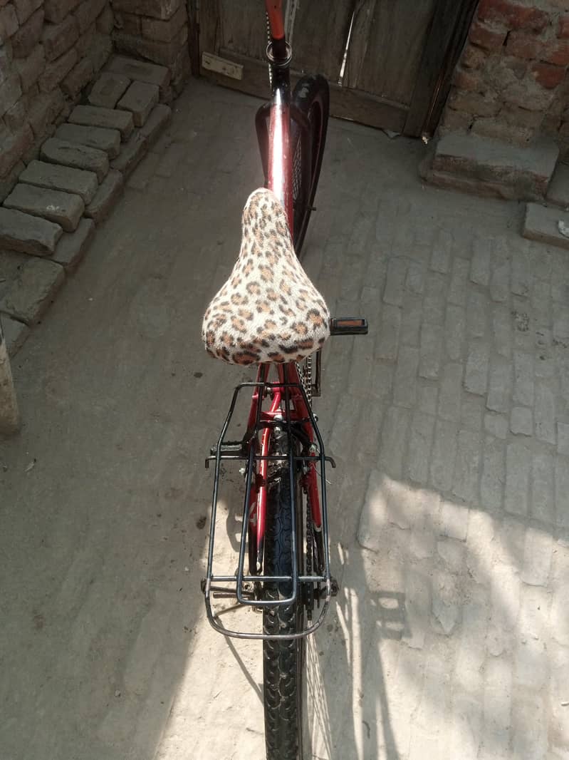 single frame cycle 1