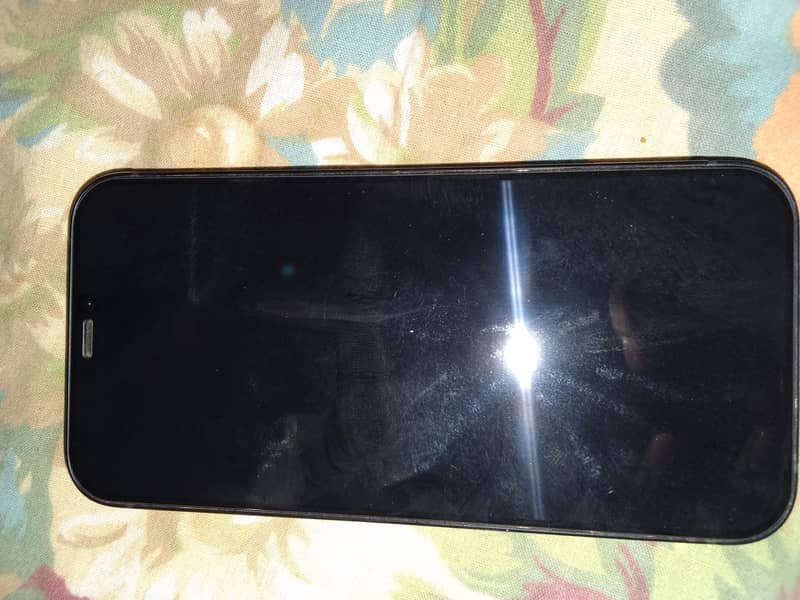 Apple iPhone 12 1