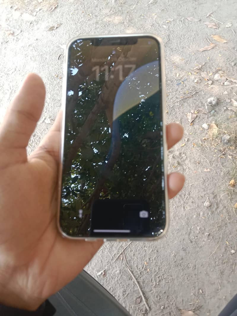 Apple iPhone 12 1