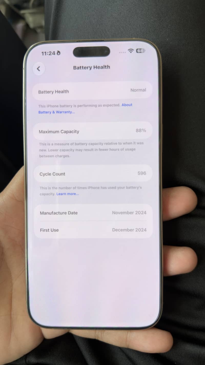 Apple iPhone 16 Pro Max 2