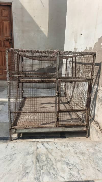 birds cage for sale
