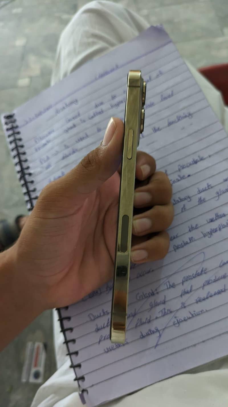 Apple iPhone 13 Pro Max 0