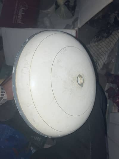 celling fan