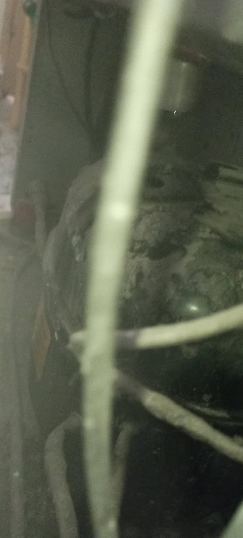 imported Haier 7
