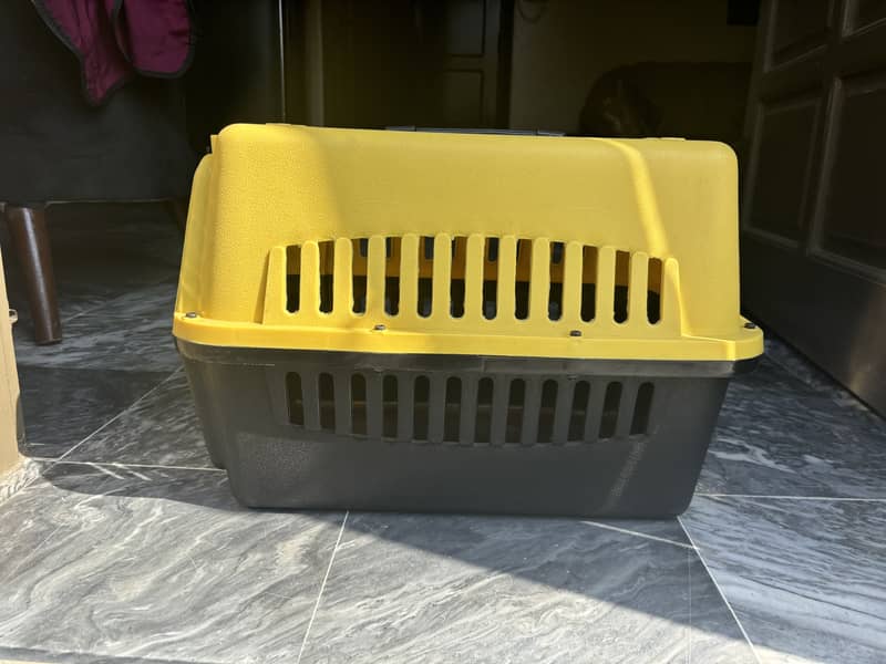 Cat cag 1