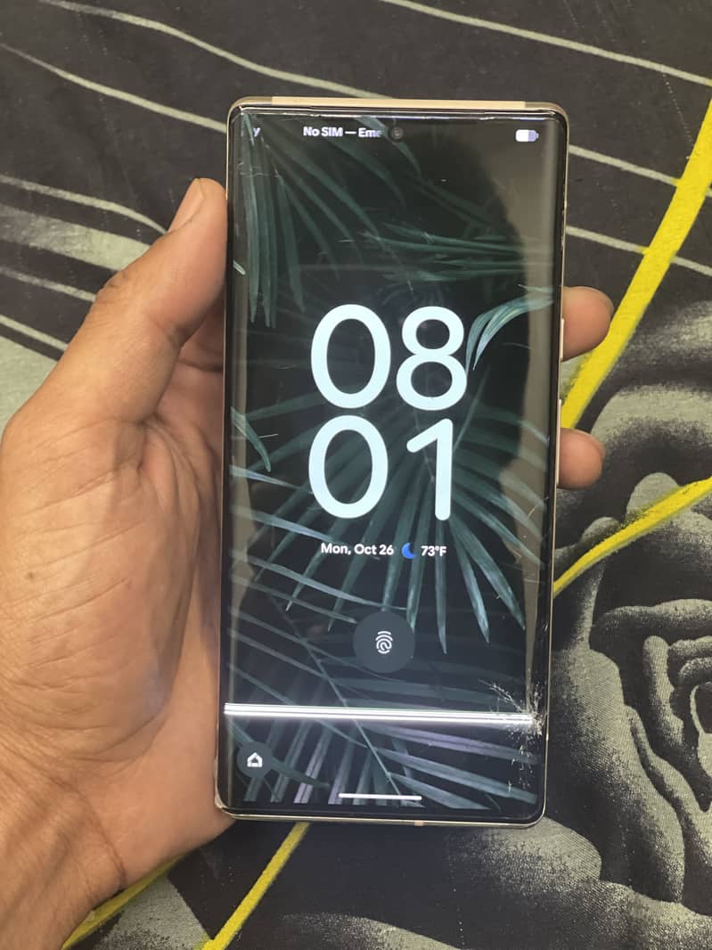 Google Pixel 6 Pro 1