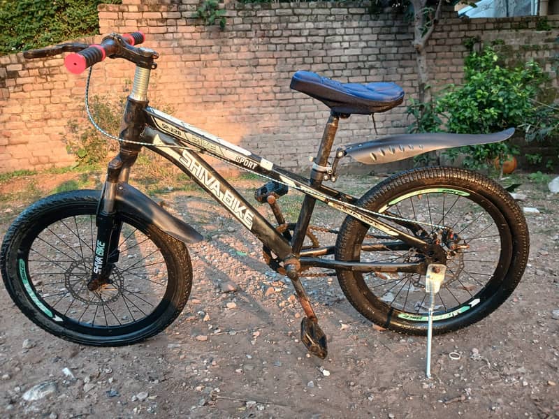 Gerik Bicycle 4