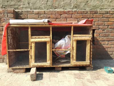 Heavy Duty 2-Room Cage for Sale – Urgent Sale!