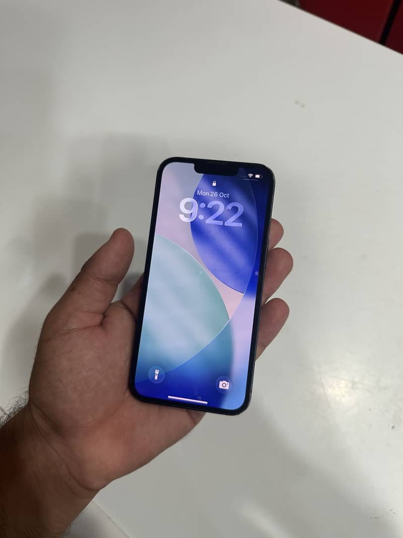 Apple iPhone 13 0