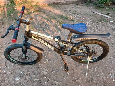 Shiva Bicycle