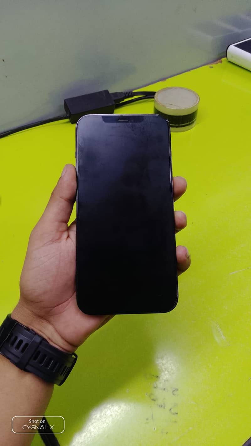 Apple iPhone 12 Pro Max 1