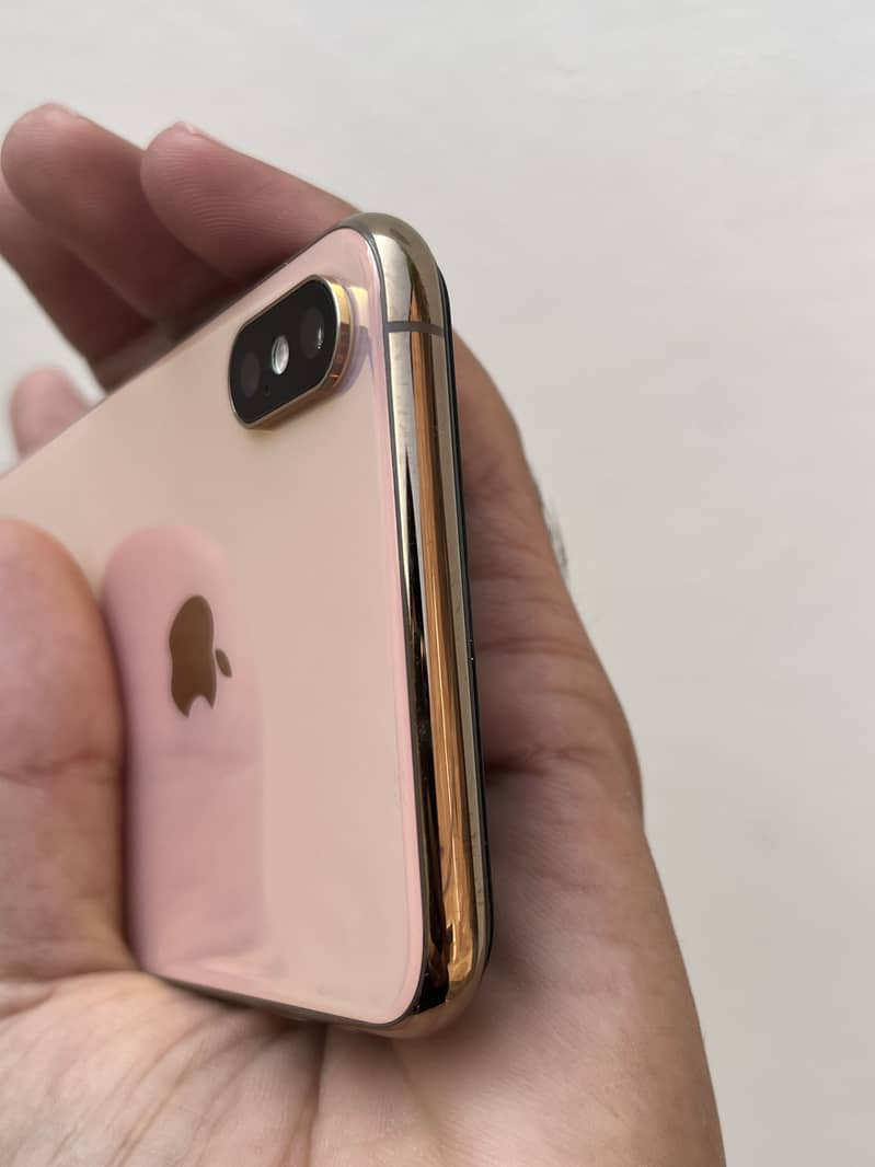 Apple iPhone Xs Max 1