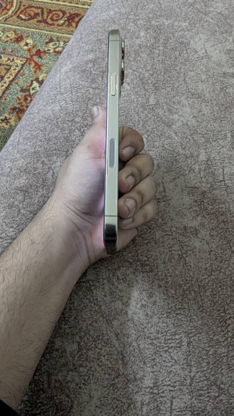 Apple iPhone 13 Pro Max 4