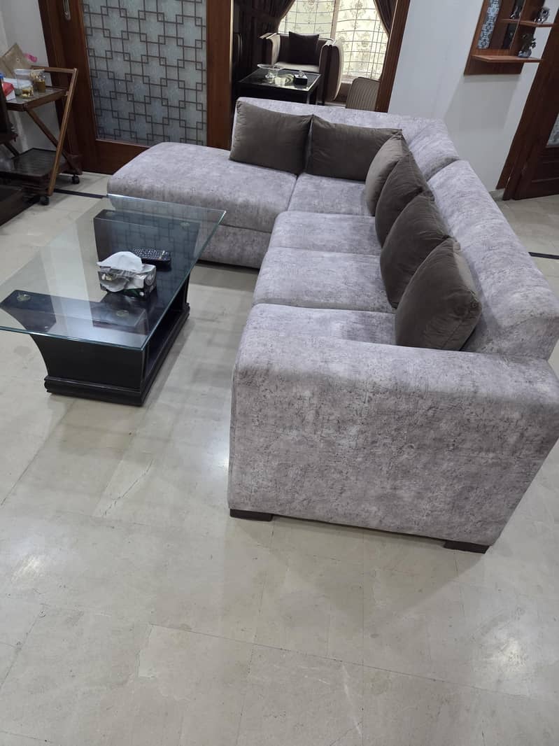 L shape sofa,central table & sethi 6