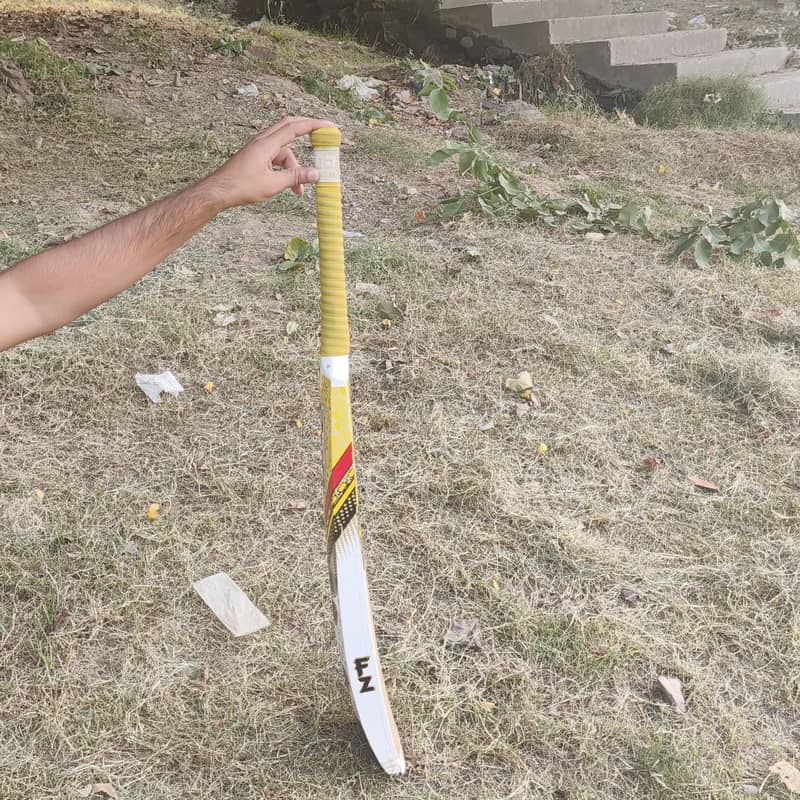 FZ bat outstanding bat 2