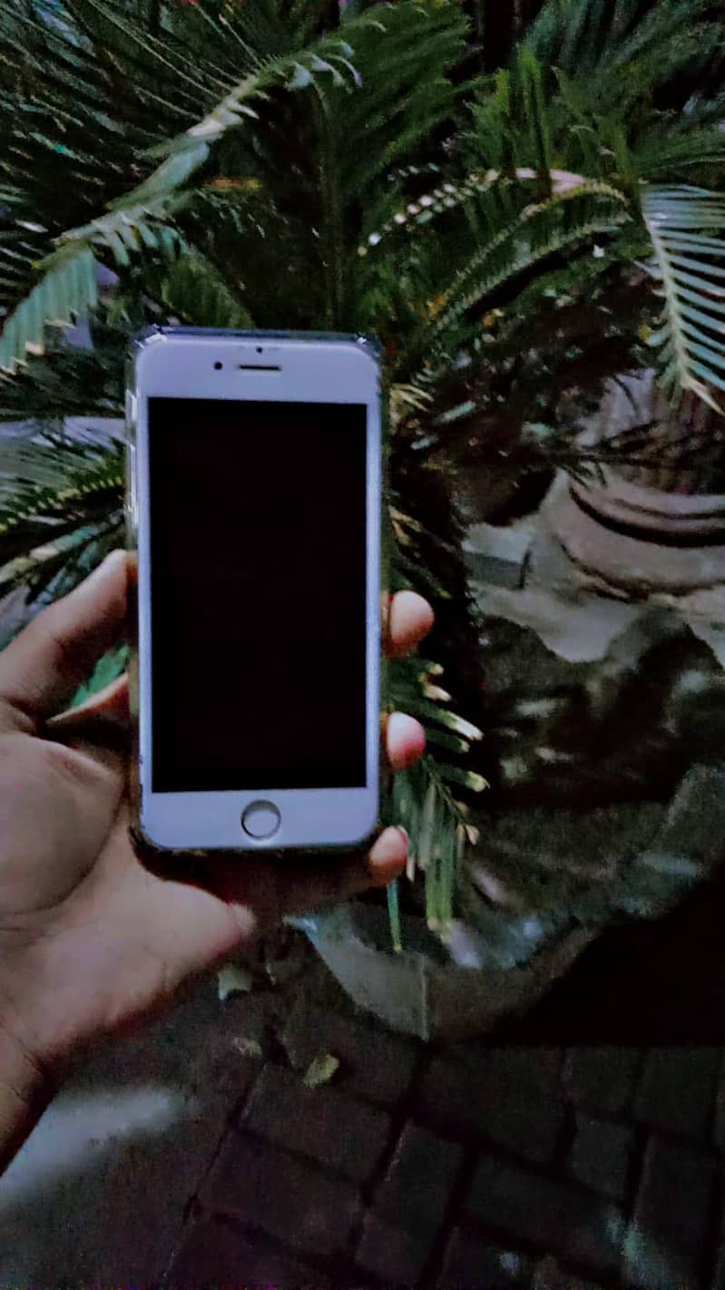 Apple iPhone 6S 1