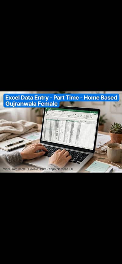 Excel Data Entry & MS Office Services - Home Based