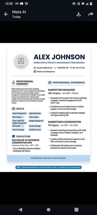 Professional CV and Resume Designing Service