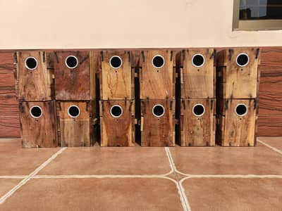 Cages for Sale