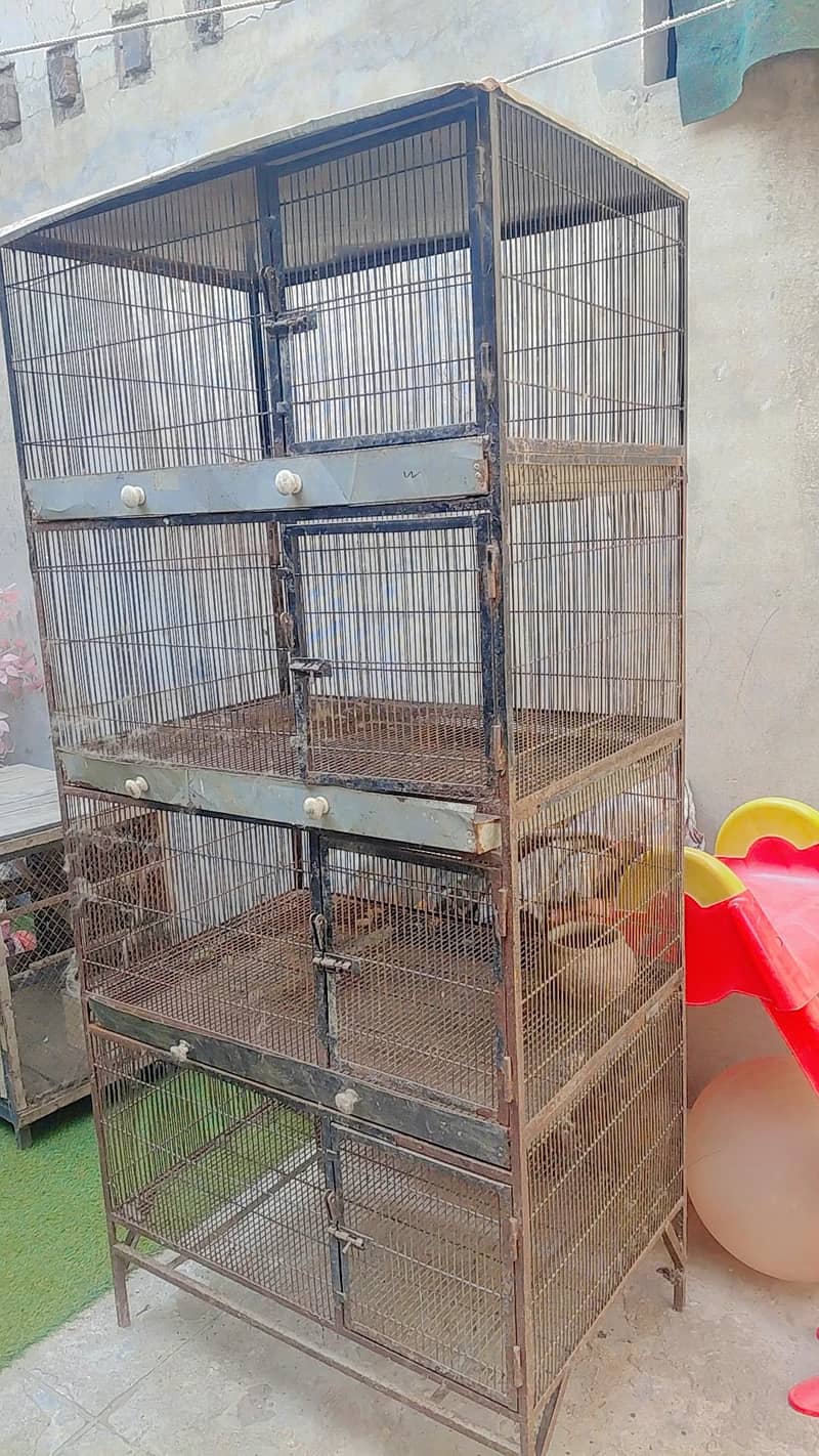 Cages 1
