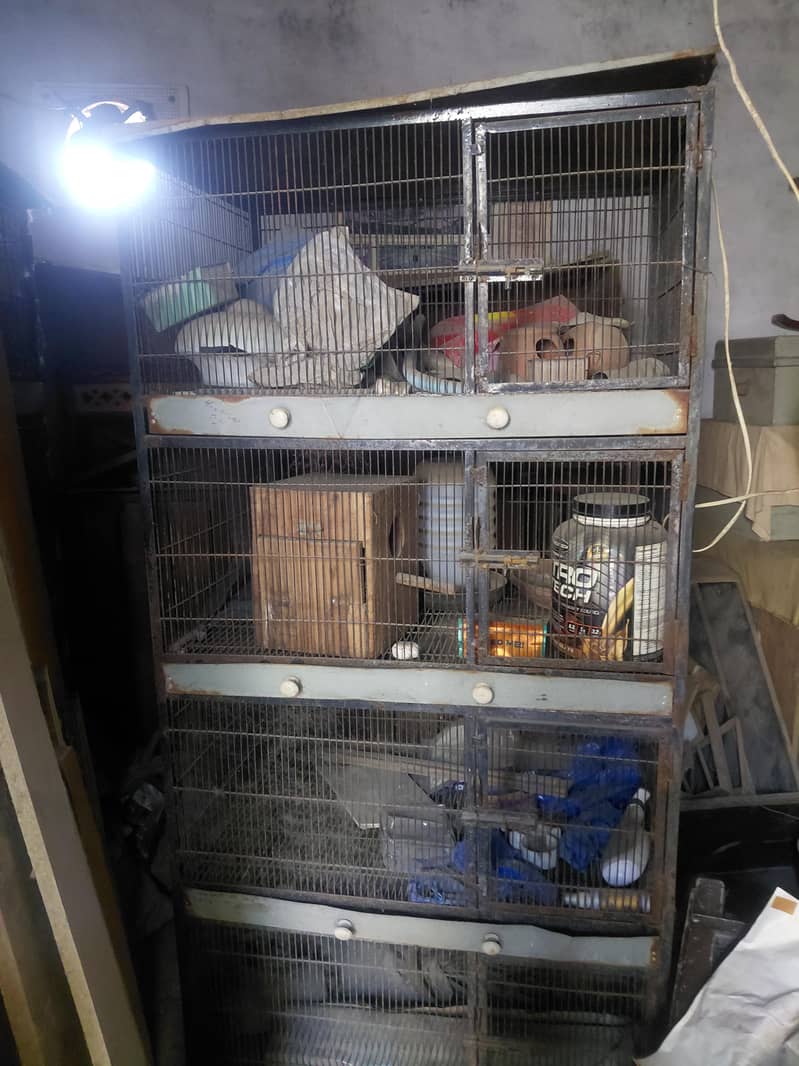 Cages 2