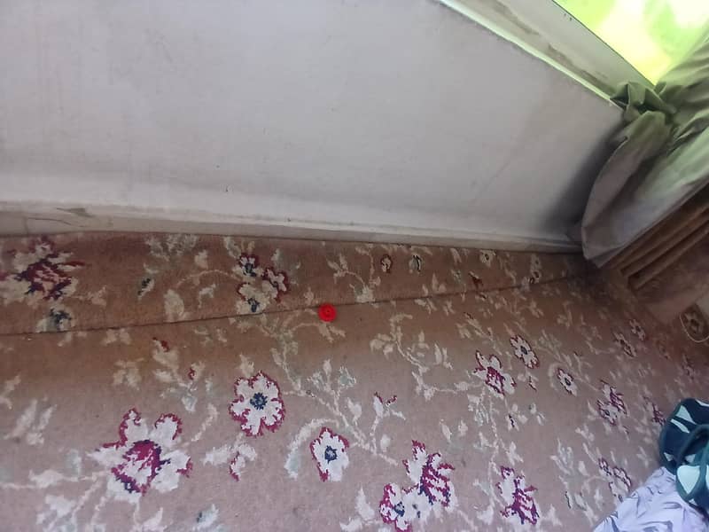carpet 0