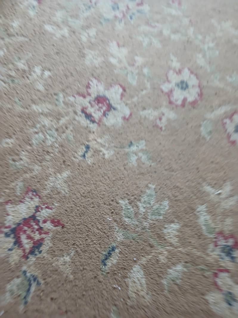 carpet 2