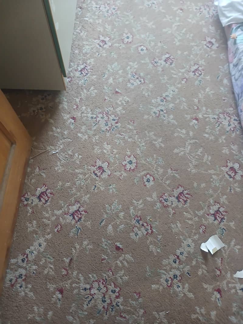 carpet 3
