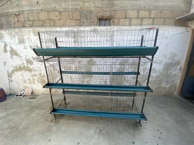 layer cage for sale