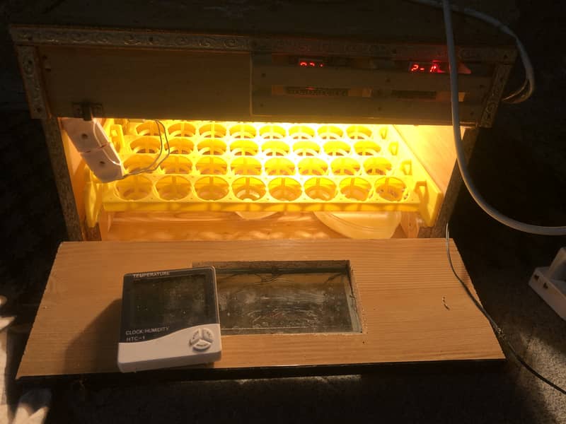 Egg Incubator 0