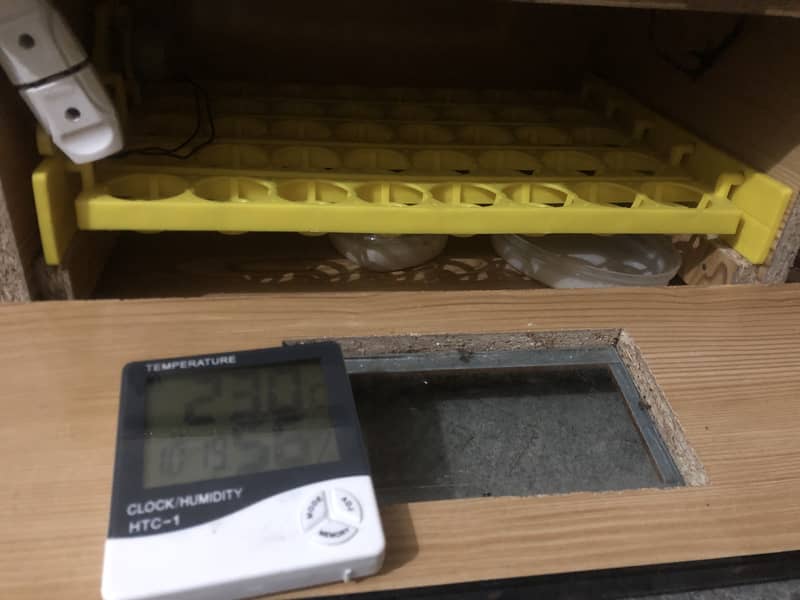 Egg Incubator 3