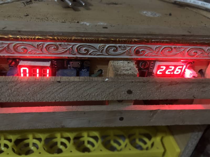 Egg Incubator 4