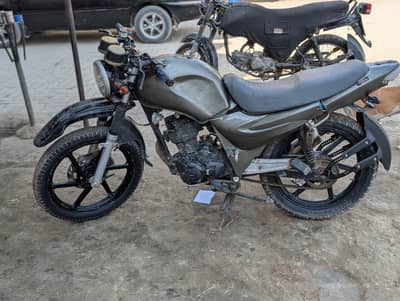 Habib 125
