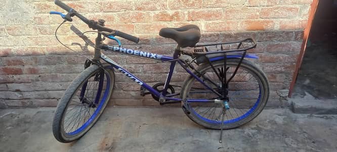 phonixe cycle