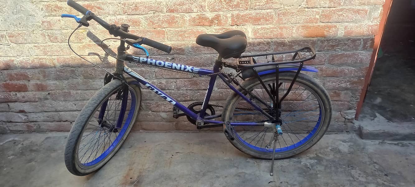 phonixe cycle 0