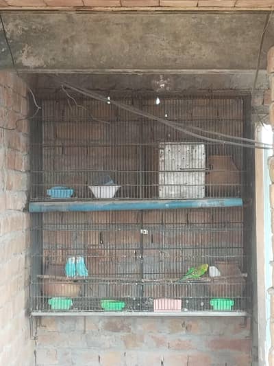 full breathind pair for cage