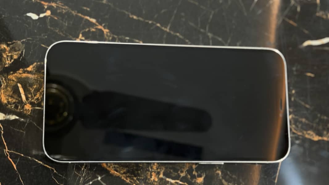 Apple iPhone 12 Pro Max 2