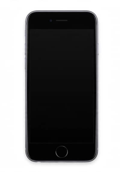 iPhone 6s 64GB Non-PTA - 100% Battery Health - Minor Display Connector