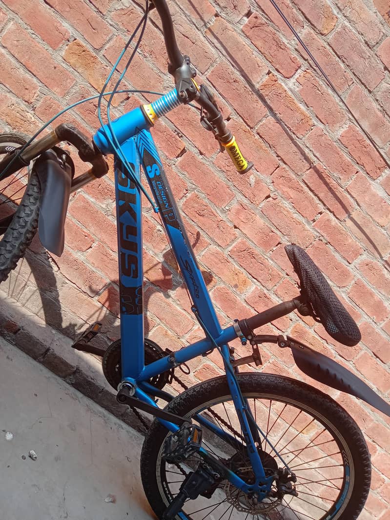 becycle 1