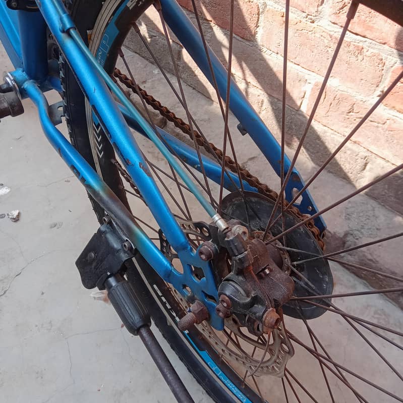 becycle 5