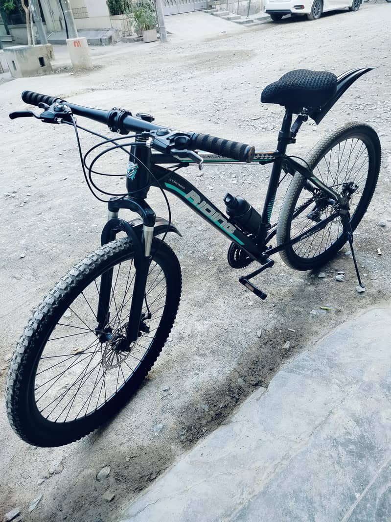 bicycle 2