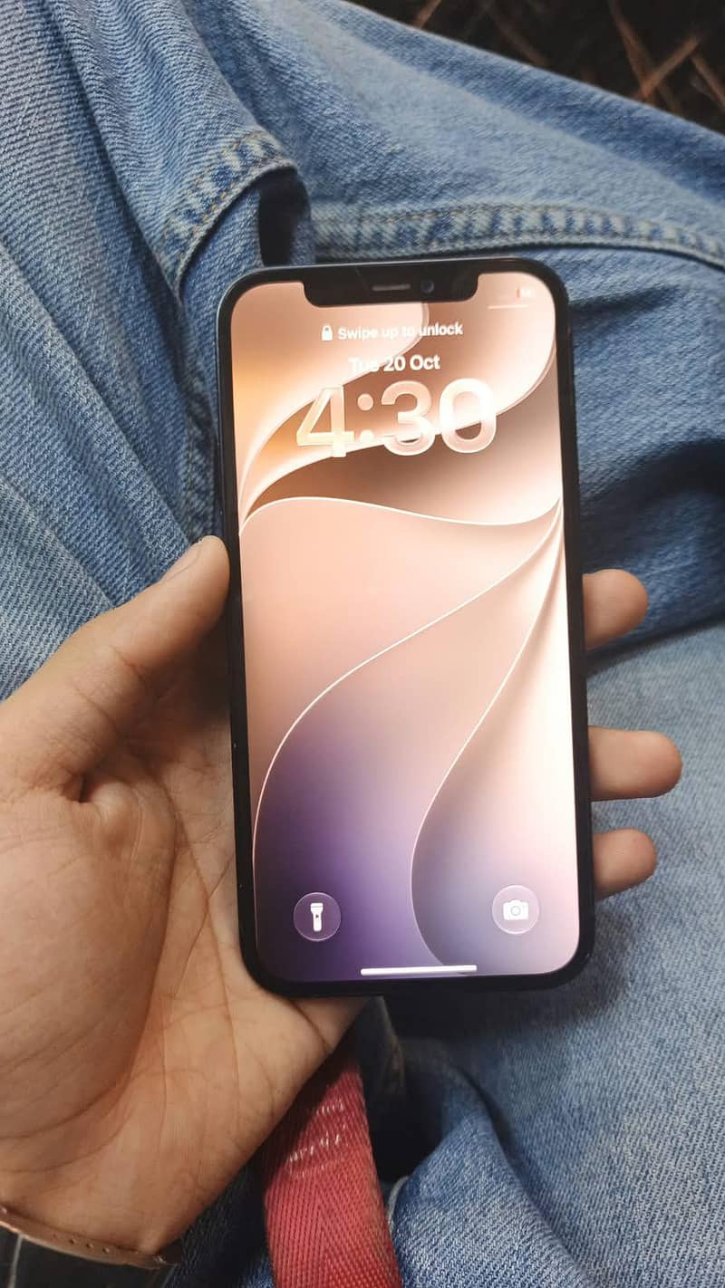 Apple iPhone 12 0