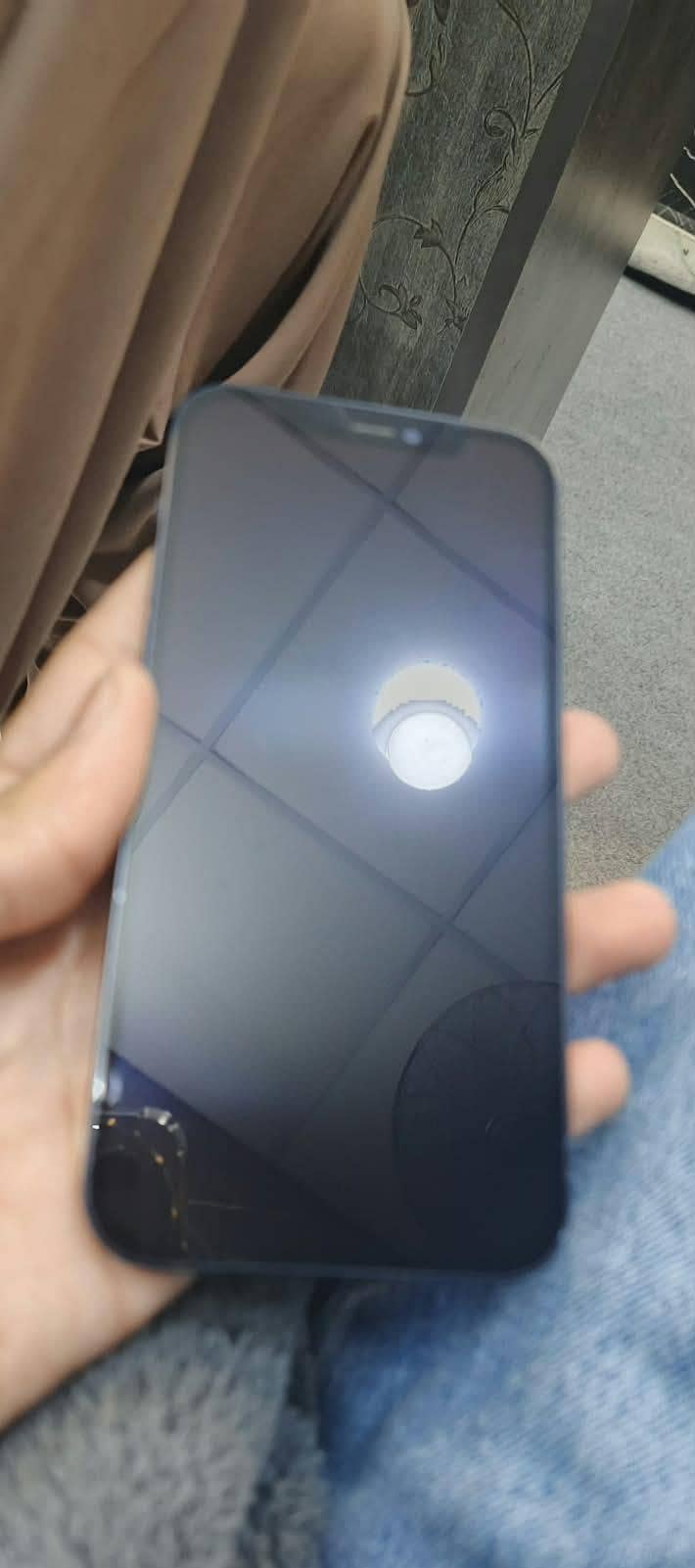 Apple iPhone 12 1