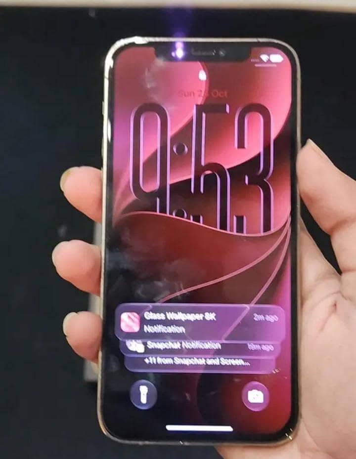 Apple iPhone 12 Pro 2
