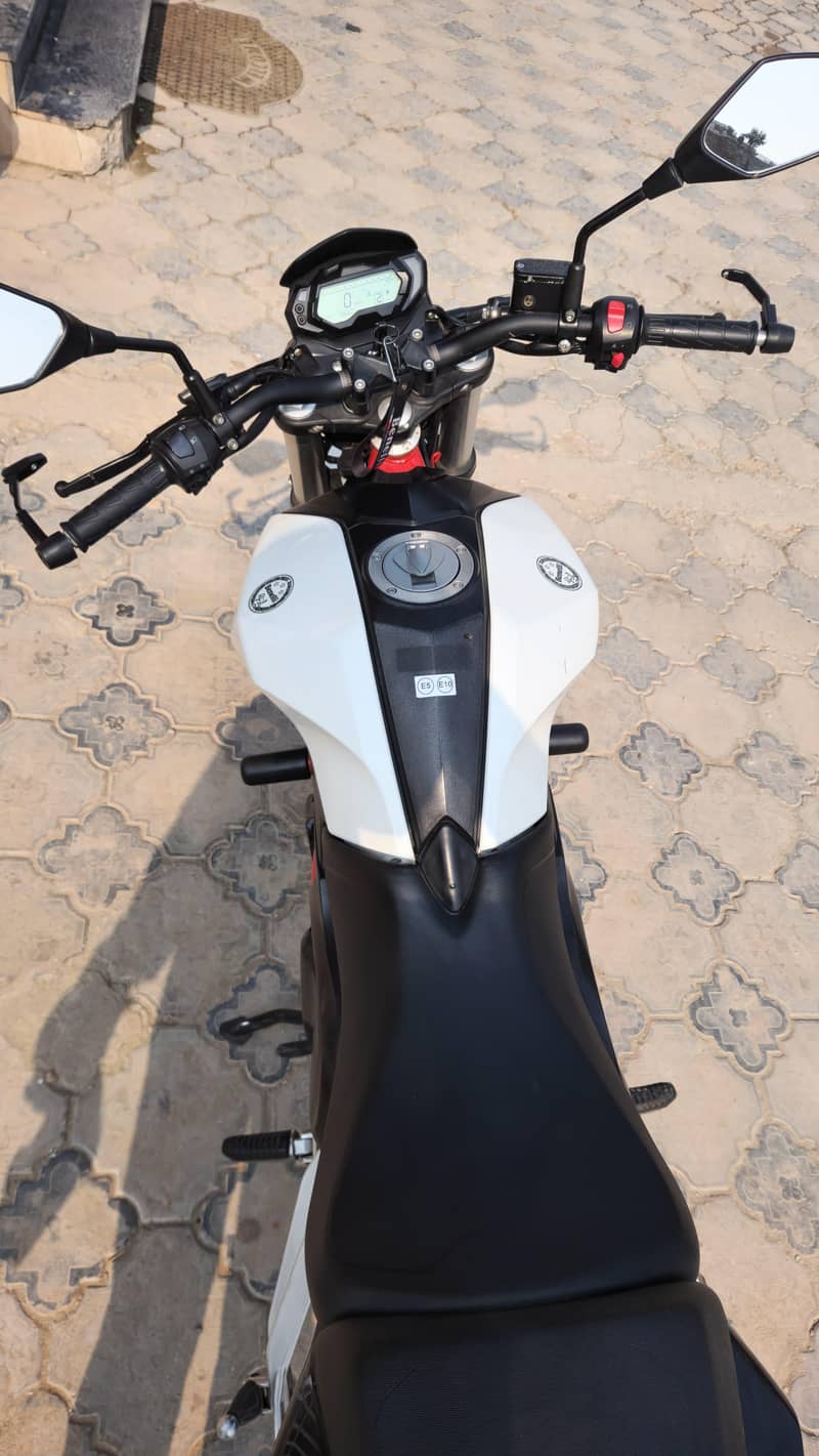 Benelli 251s 8