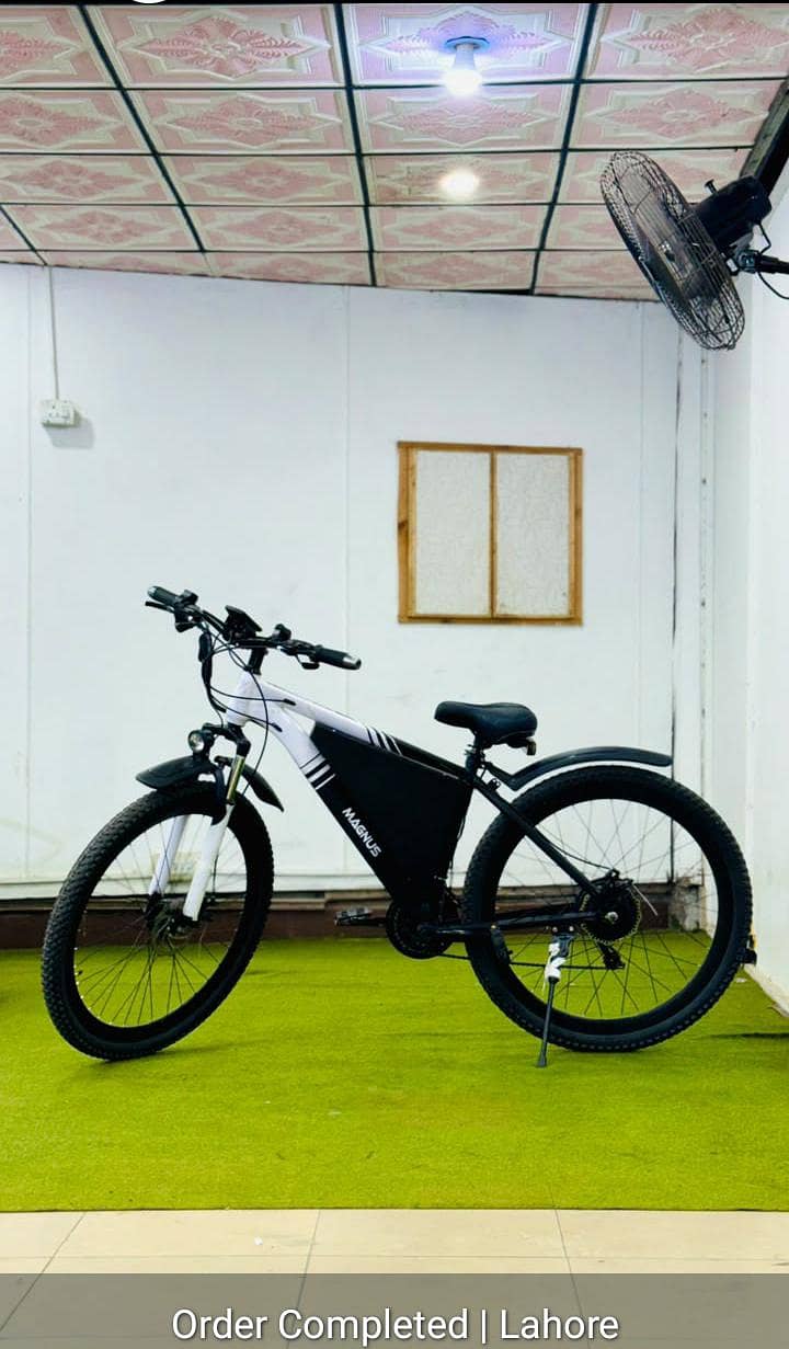 electric cycle 2