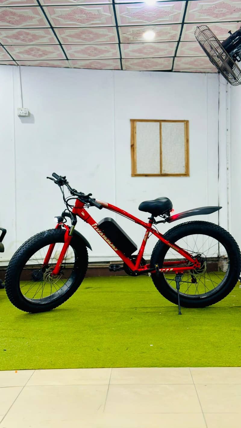 electric cycle 3